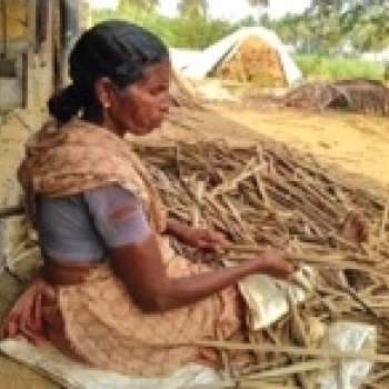 Tamil Nadu : Action dAREDS pour la protection sociale des travailleurs du secteur informel 
